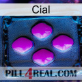 Cial 04